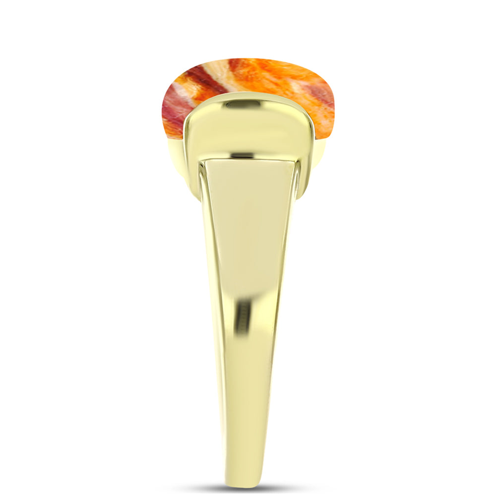 Anillo de Plata Bañada en Oro con Jaspe Garra de León