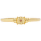 Conjunto de Plata Bañada en Oro con Diamante Rojo ( Pendientes +Anillo )