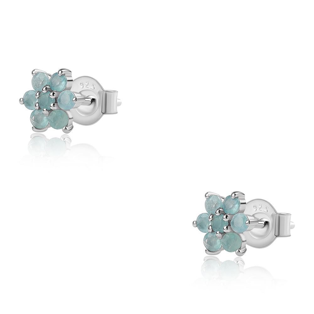 Pendientes de Plata con Grandidierita