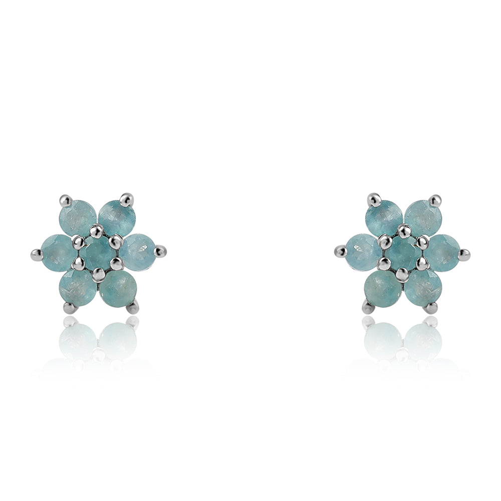 Pendientes de Plata con Grandidierita
