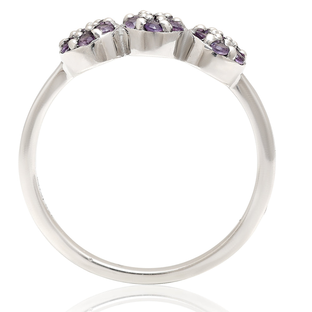 Anillo de Plata con Amatista de Brasil 4 