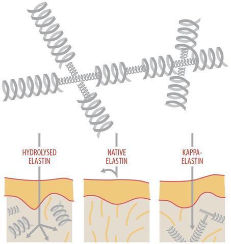 Paquete de viaje Vivaligne K'derm - 5 productos cosméticos antienvejecimiento con kappa-elastina (agua micelar 50 ml, crema de día 20 ml, sérum reparador 20 ml,  mascarilla regeneradora y nutritiva 20 ml, crema de manos 20 ml)
